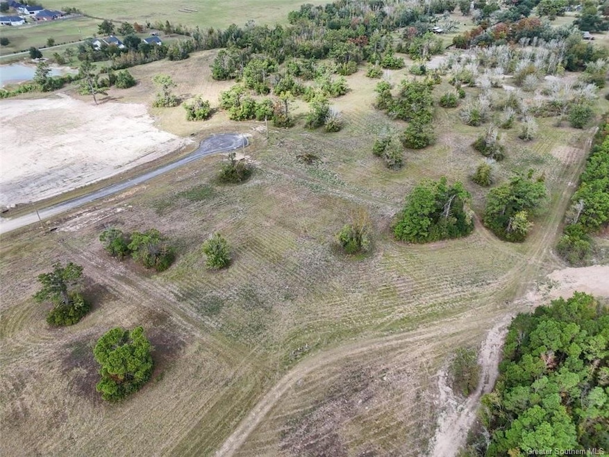 6843 Rue Des Amis Dr, Lake Charles, LA 70605 - photo 1