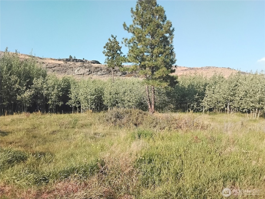 4 Painted Rock Rd, Tonasket, WA 98855 - photo 1