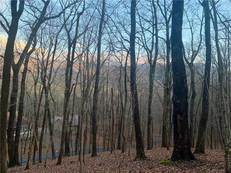 Gently Sloping 1.64 Acres on a Cul De Sac