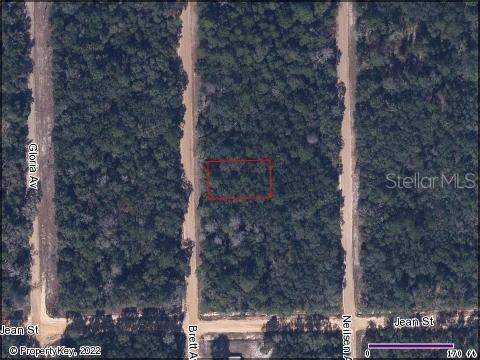 0 Interlachen Lake Estates unit S5071642, Palatka, FL 32178 - photo 1