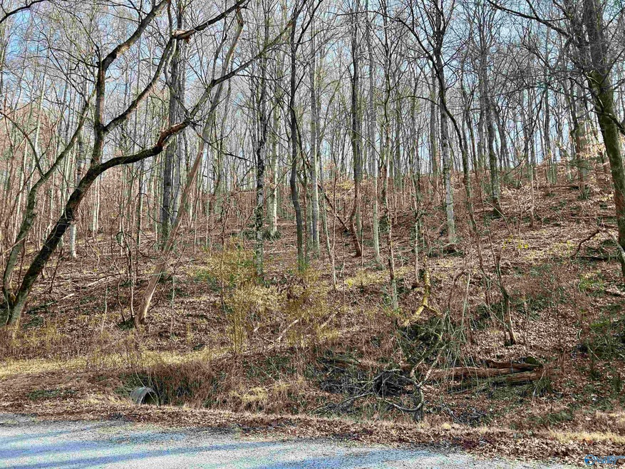 001 Chapman Hollow Rd, Elkmont, AL 35620 MLS 21854398