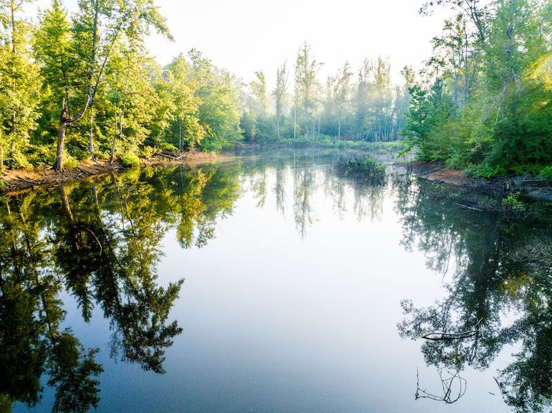 0 Deer Hill Rd unit LotWP001 24553785, Fulton, MS 38843 - photo 1