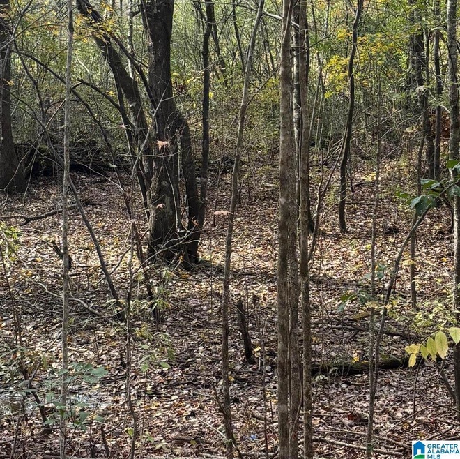 Sold $5,000 • Co-Listing Agent