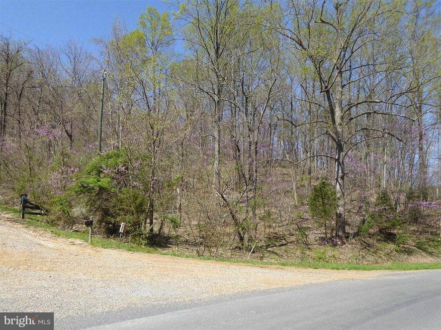 0 Little Long Rd unit 1000406659, Bentonville, VA 22610 - photo 1