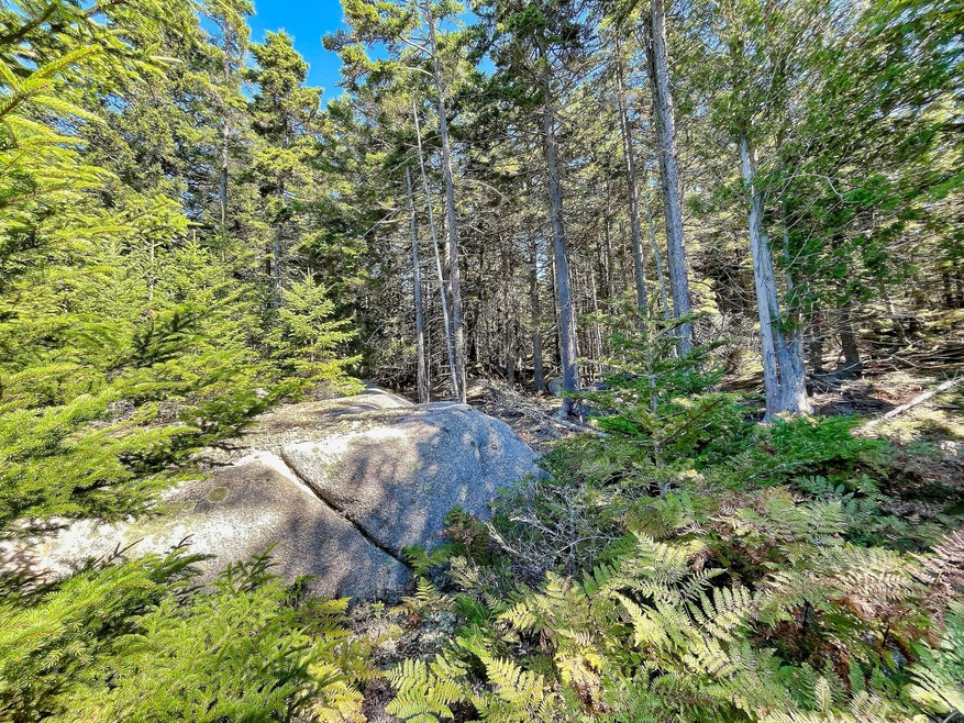 91A S Burnt Cove Road014