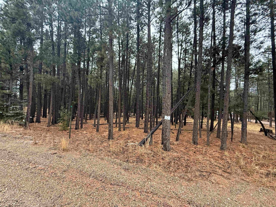 Lot 40 Valle Grande Trail, Angel Fire, NM 87710 - photo 1