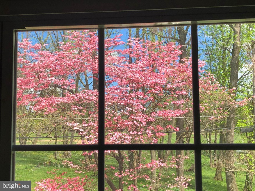 7225 Lanark Rd, Baltimore, MD 21212 - photo 1