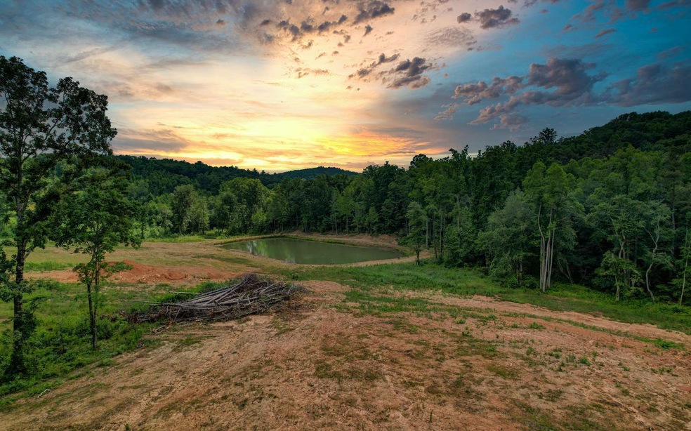 1379 Leeches Rd, Ellijay, GA 30540 - photo 1