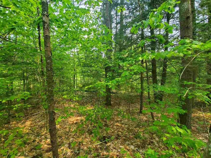 45 Clough Pond Rd, Loudon, NH 03307 - photo 1