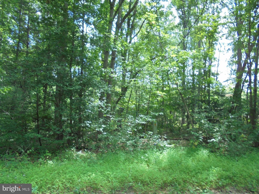 0 New Hampshire Rd unit 31 VAOR134578, Rhoadesville, VA 22542 - photo 1