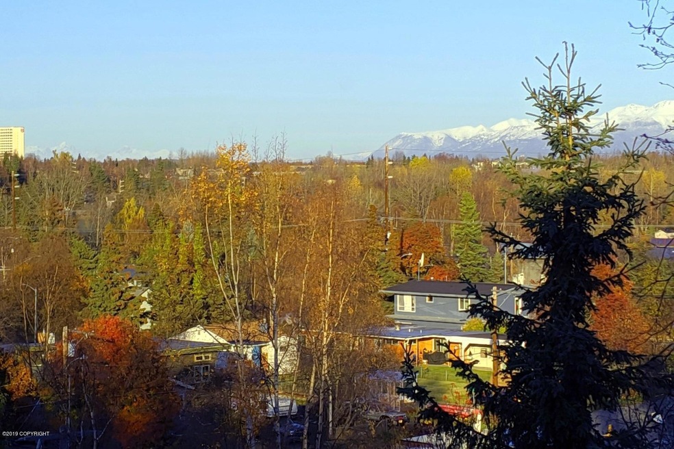 01. View
