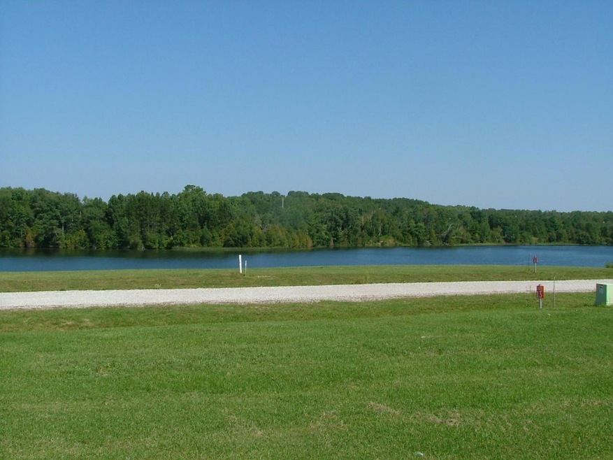 Black River View
