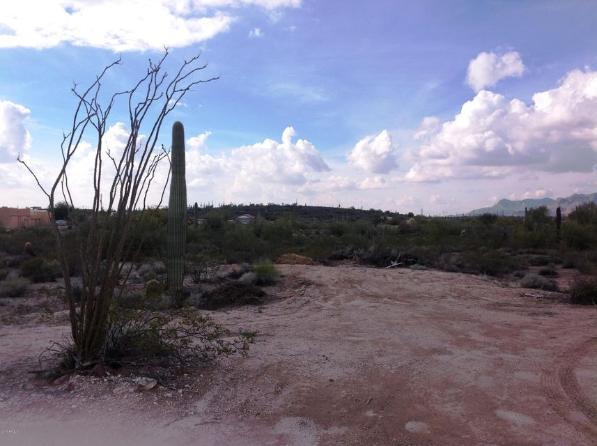 Vacant Land 1