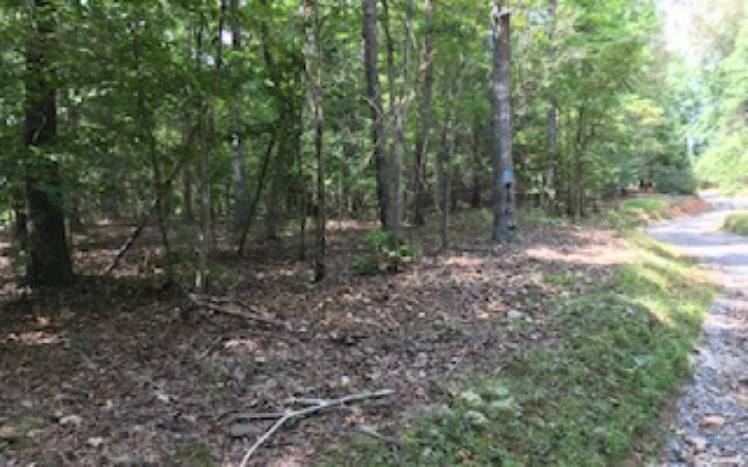 LT 19 Cartecay Cove Ln, Ellijay, GA 30536 - photo 1