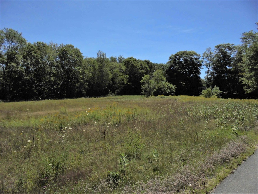 coombs road photo 1