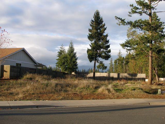 Primary Photo