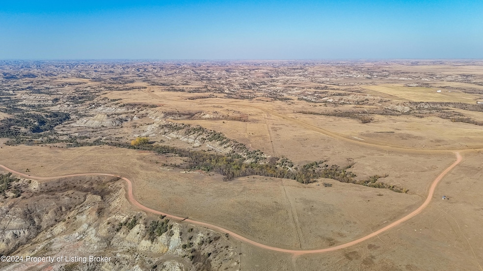40 Acres