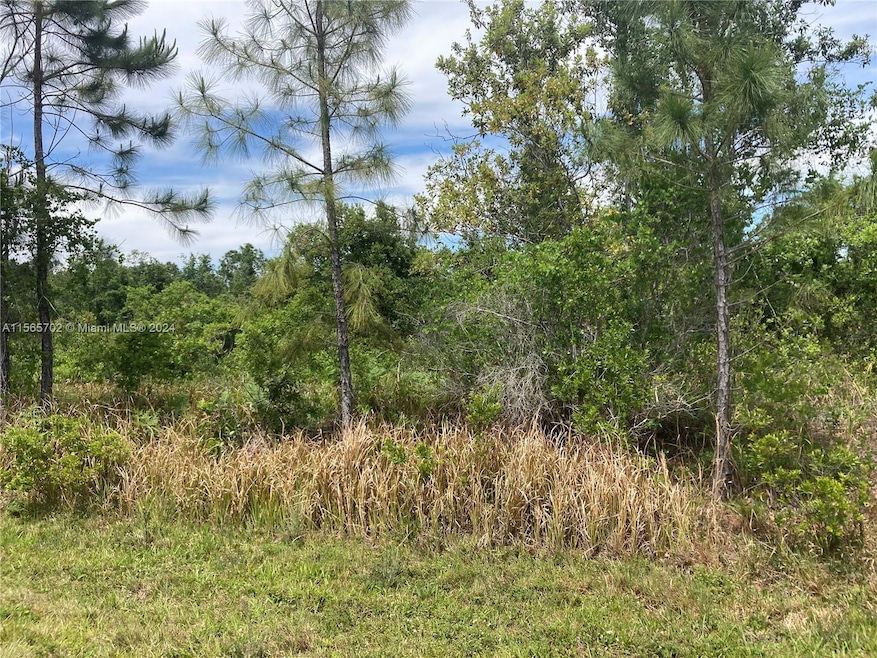 8125 Domenico St, Sebring, FL 33872 - photo 1