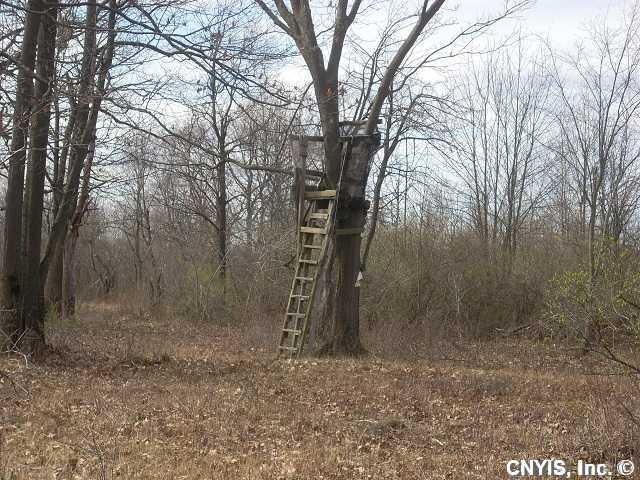Other Tree Stand for hunting