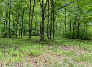 903 W Wadi Rd, Pocono Lake, PA 18347 - photo 1