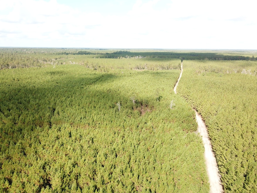 Gore Store Rd, Kountze, TX 77625 - photo 1