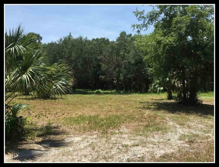 XX Wakulla Beach Rd, Crawfordville, FL 32327 - photo 1