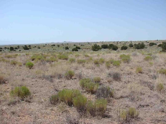 3014 Chippewa Rd SW unit 4, Rio Rancho, NM 87124 - photo 1