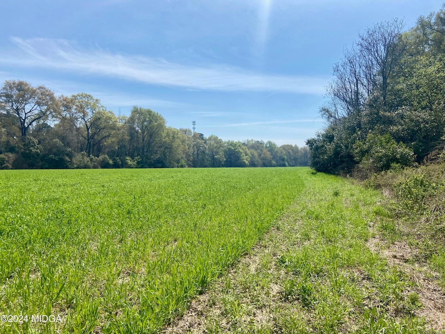 0 Moseley Rd unit 180362, Byron, GA 31008 - photo 1