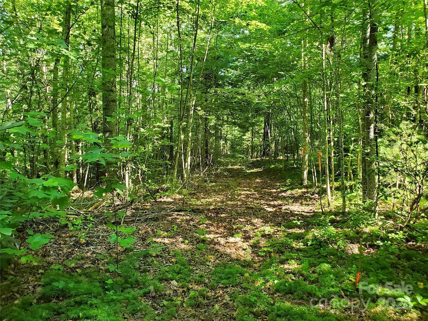 00 Staton Ridge Rd, Saluda, NC 28773 - photo 1