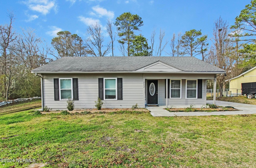 203 Cardinal Rd, Jacksonville, NC 28546 - photo 1