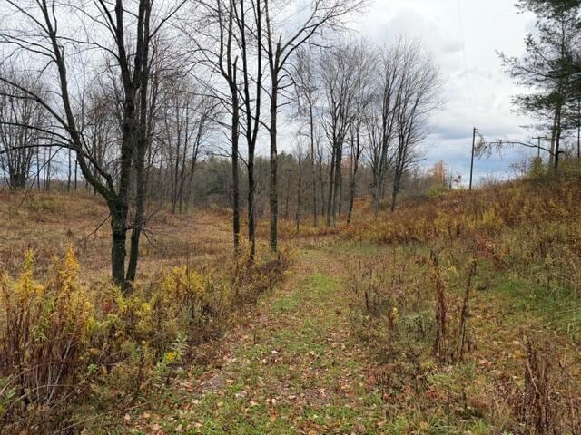 0 Woodbury Rd, Washington Township, PA 15824 - photo 1