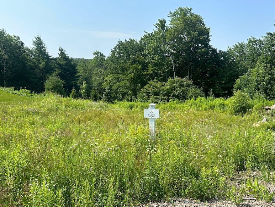 27 Stag's Leap Ln, Wilmington, VT 05363 - photo 1