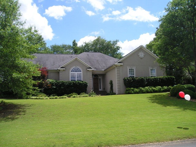 Main View