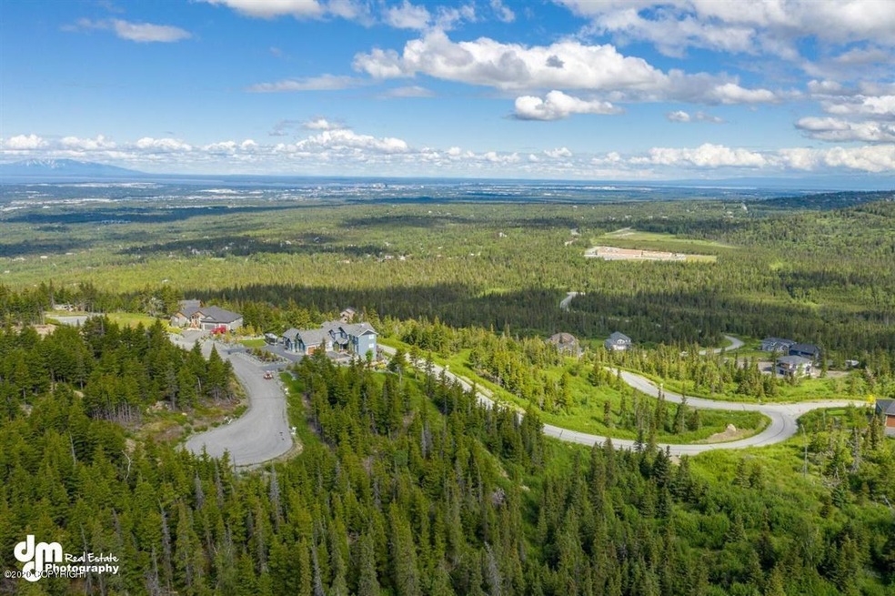 4-Aerials MS_0584