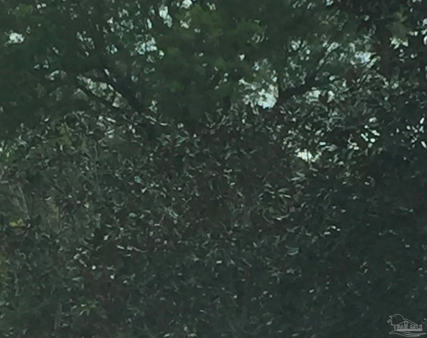 0 Lantana Dr, Lillian, AL 36549 - photo 1