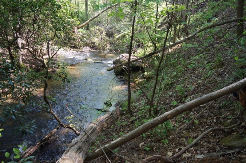 Over 700 feet of a rushing mountain stream is the 