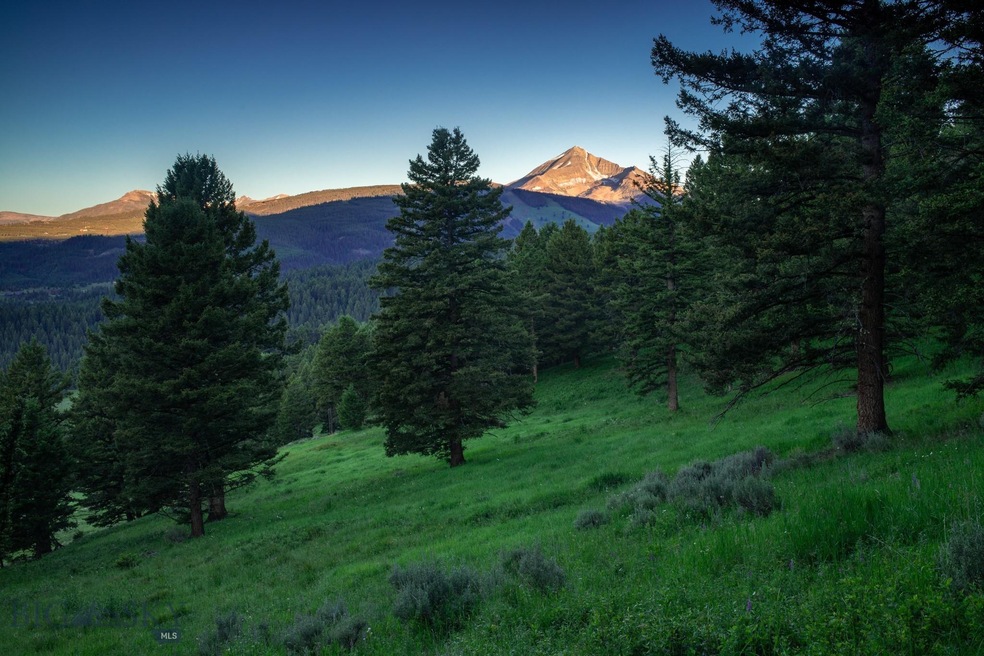 Tract 2A-1B Upper Chief Joseph Trail, Big Sky, MT 59716 - photo 1