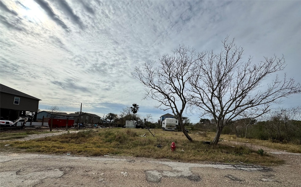 This photo shows a vacant undeveloped lot. There's