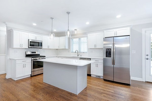 20 Hawthorne St, Roxbury, MA 02119 - photo 1