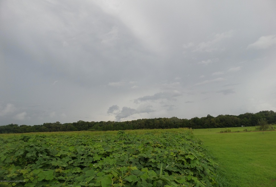 10 Wheeler Rd, Hernando, MS 38632 - photo 1