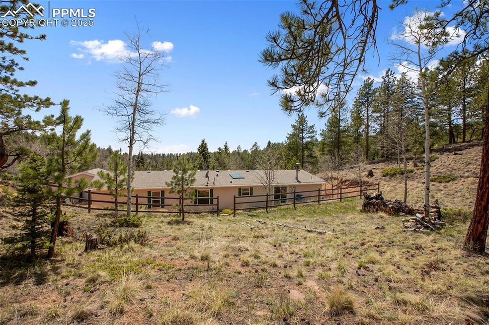 1011 W Bison Creek Trail, Divide, CO 80814 - photo 1