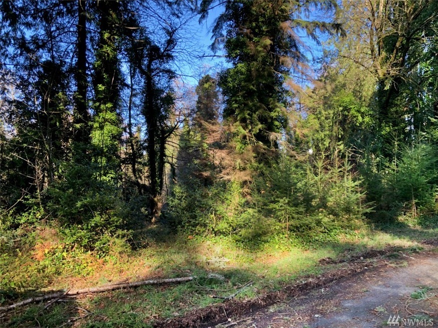 97 SW 117th St, Vashon, WA 98070 - photo 1