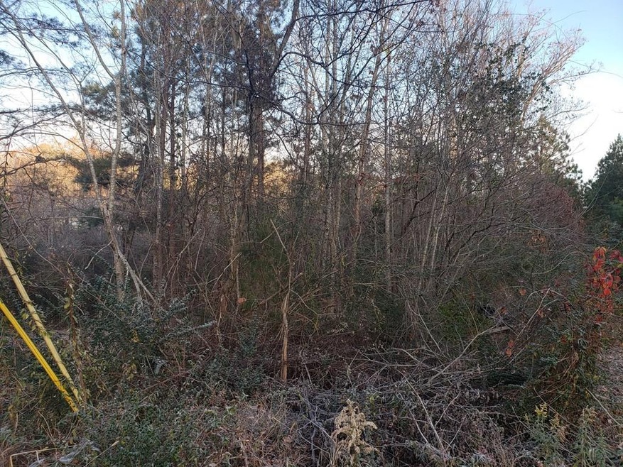 timbervale 1