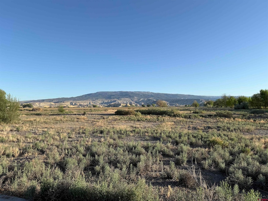 1475 and Tbd Highway 50, Delta, CO 81416 - photo 1