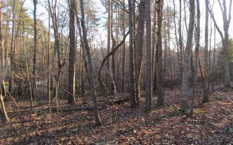 752 Matrix Ln, Ellijay, GA 30540 - photo 1