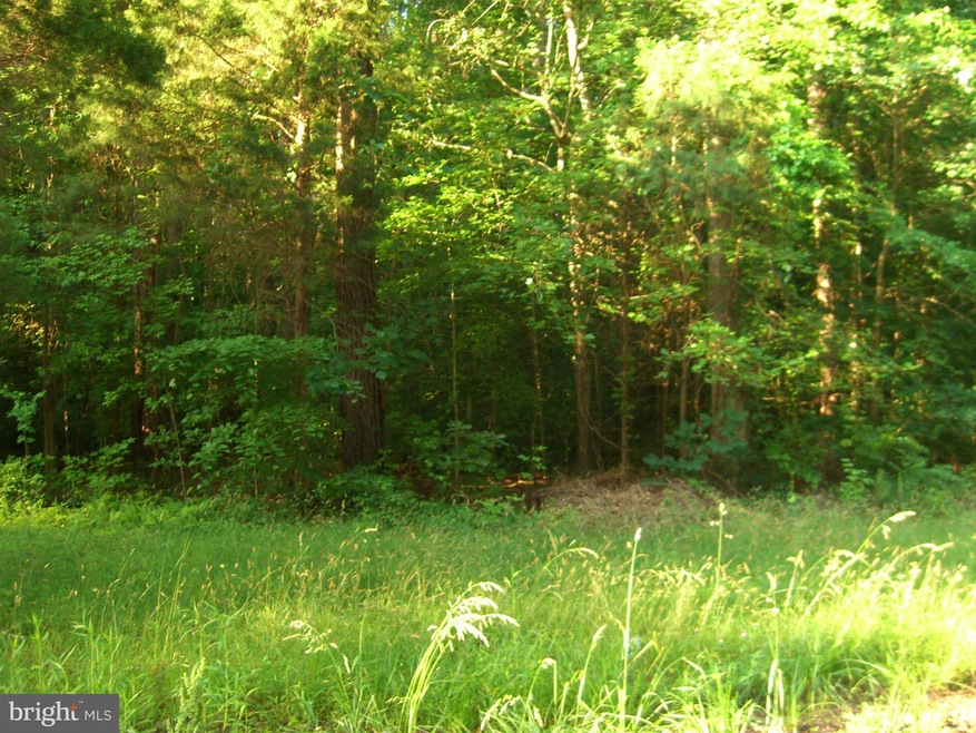 0 Golden Beach Rd unit MDSM174140, Mechanicsville, MD 20659 - photo 1