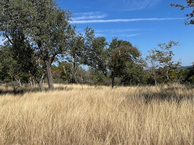 Tract 11 Rare Eagle Dr unit 11, Fredericksburg, TX 78624 - photo 1