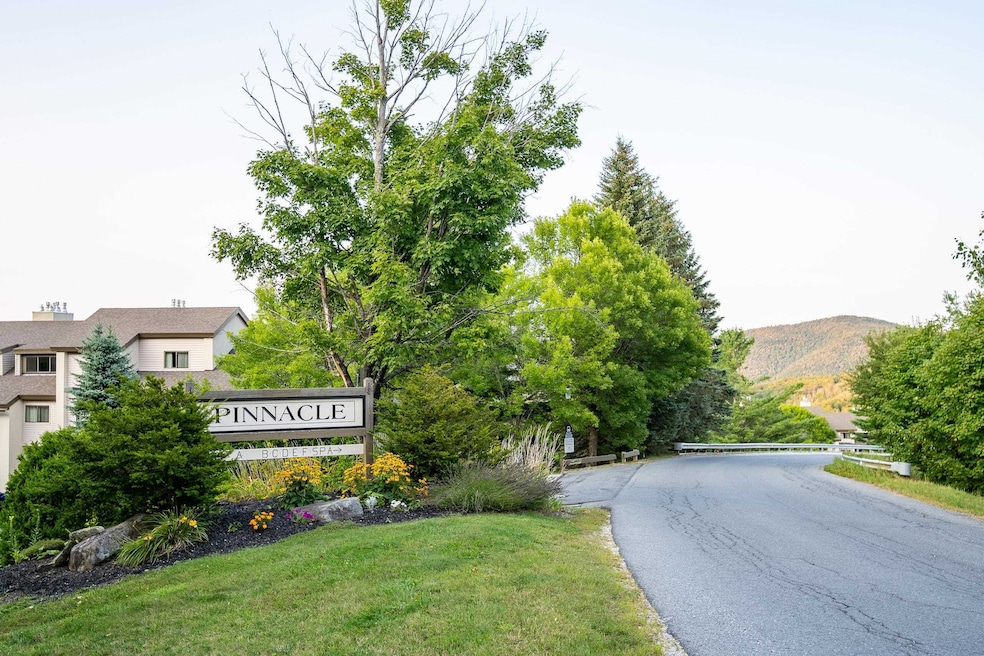 255 Old Mill Rd unit F15, Killington, VT 05751 - photo 1