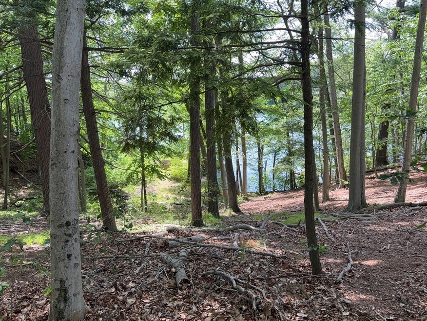 123 Dudley Rd, Wayland, MA 01778 - photo 1