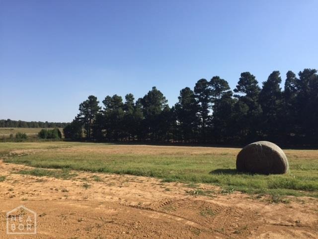 0 Greensboro Rd unit 10072154, Jonesboro, AR 72401 - photo 1